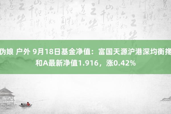 伪娘 户外 9月18日基金净值：富国天源沪港深均衡搀和A最新净值1.916，涨0.42%