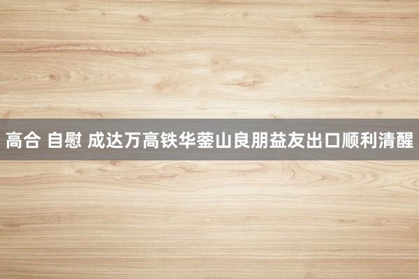 高合 自慰 成达万高铁华蓥山良朋益友出口顺利清醒