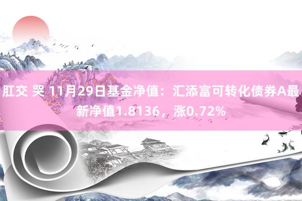 肛交 哭 11月29日基金净值：汇添富可转化债券A最新净值1.8136，涨0.72%
