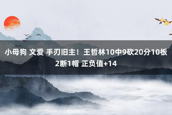 小母狗 文爱 手刃旧主！王哲林10中9砍20分10板2断1帽 正负值+14