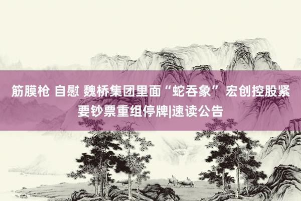 筋膜枪 自慰 魏桥集团里面“蛇吞象” 宏创控股紧要钞票重组停牌|速读公告