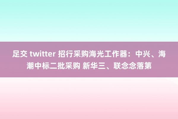 足交 twitter 招行采购海光工作器：中兴、海潮中标二批采购 新华三、联念念落第