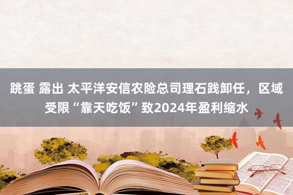 跳蛋 露出 太平洋安信农险总司理石践卸任，区域受限“靠天吃饭”致2024年盈利缩水
