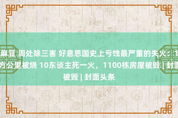 麻豆 周处除三害 好意思国史上亏蚀最严重的失火：117平方公里被烧 10东谈主死一火，1100栋房屋被毁 | 封面头条