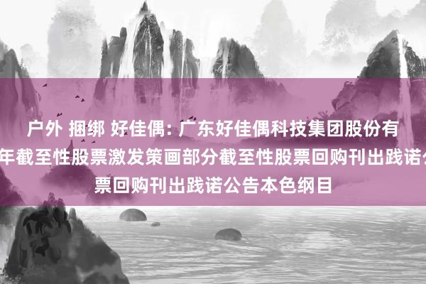 户外 捆绑 好佳偶: 广东好佳偶科技集团股份有限公司2023年截至性股票激发策画部分截至性股票回购刊出践诺公告本色纲目