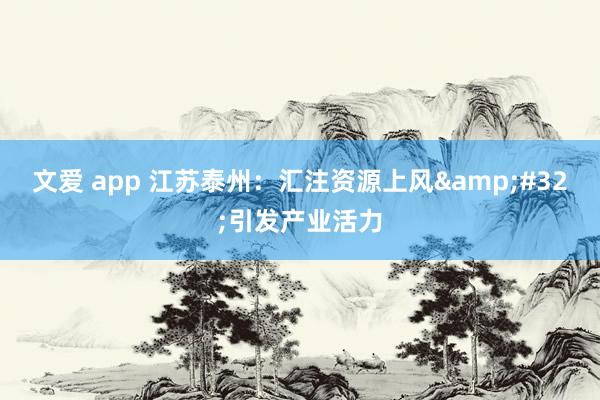 文爱 app 江苏泰州：汇注资源上风&#32;引发产业活力