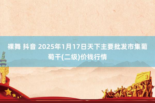裸舞 抖音 2025年1月17日天下主要批发市集葡萄干(二级)价钱行情