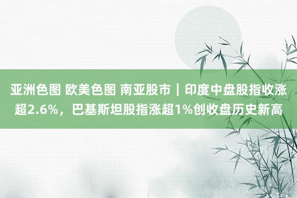 亚洲色图 欧美色图 南亚股市｜印度中盘股指收涨超2.6%，巴基斯坦股指涨超1%创收盘历史新高