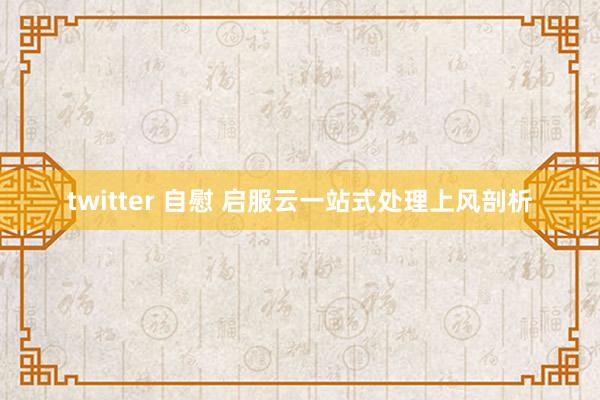 twitter 自慰 启服云一站式处理上风剖析