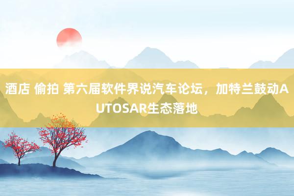 酒店 偷拍 第六届软件界说汽车论坛，加特兰鼓动AUTOSAR生态落地