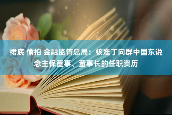 裙底 偷拍 金融监管总局：核准丁向群中国东说念主保董事、董事长的任职资历