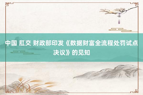 中国 肛交 财政部印发《数据财富全流程处罚试点决议》的见知