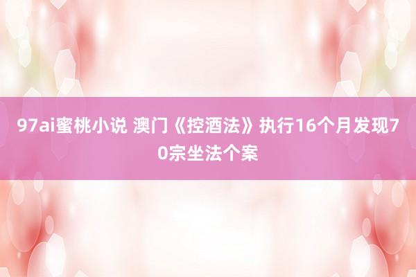 97ai蜜桃小说 澳门《控酒法》执行16个月发现70宗坐法个案