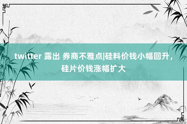 twitter 露出 券商不雅点|硅料价钱小幅回升，硅片价钱涨幅扩大