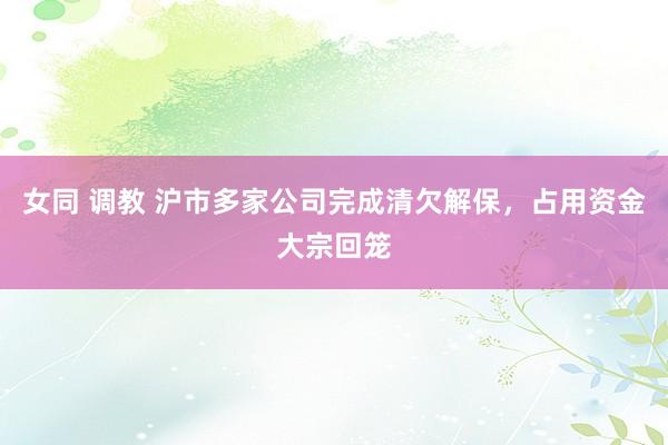 女同 调教 沪市多家公司完成清欠解保，占用资金大宗回笼