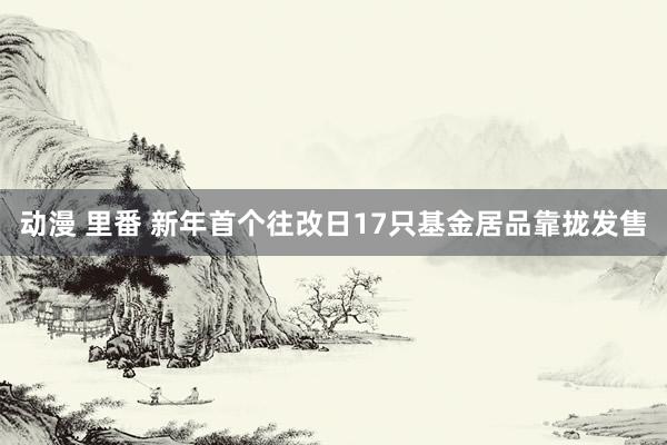 动漫 里番 新年首个往改日17只基金居品靠拢发售