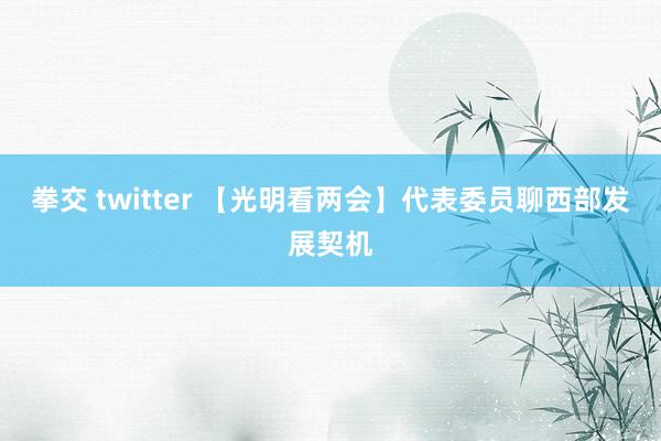 拳交 twitter 【光明看两会】代表委员聊西部发展契机