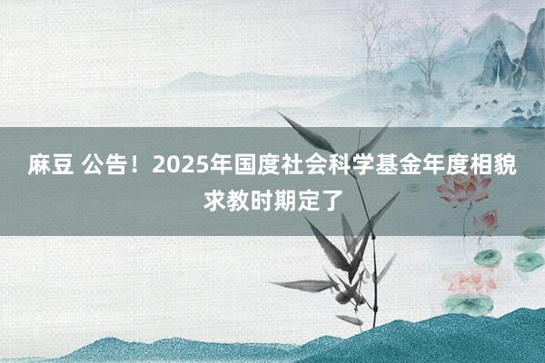 麻豆 公告！2025年国度社会科学基金年度相貌求教时期定了