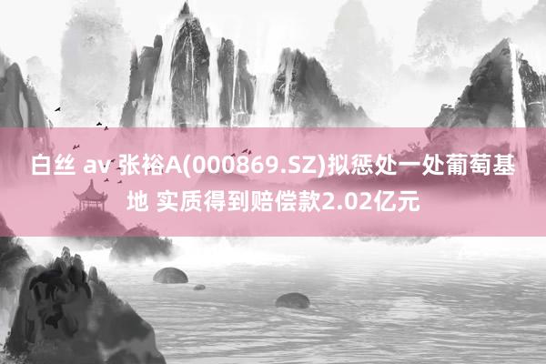 白丝 av 张裕A(000869.SZ)拟惩处一处葡萄基地 实质得到赔偿款2.02亿元