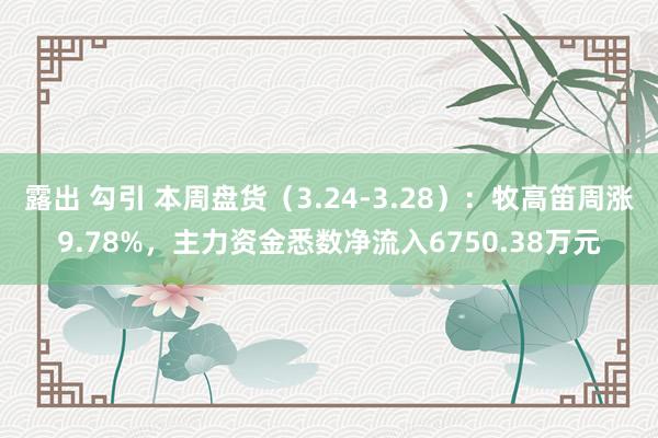 露出 勾引 本周盘货（3.24-3.28）：牧高笛周涨9.78%，主力资金悉数净流入6750.38万元