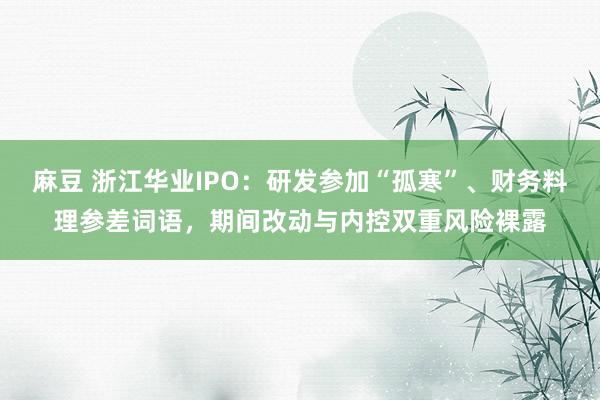 麻豆 浙江华业IPO：研发参加“孤寒”、财务料理参差词语，期间改动与内控双重风险裸露