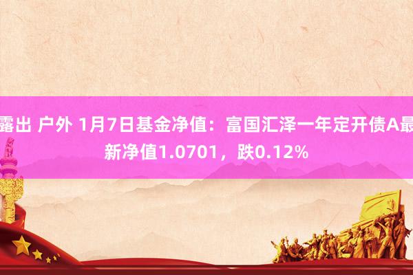 露出 户外 1月7日基金净值：富国汇泽一年定开债A最新净值1.0701，跌0.12%