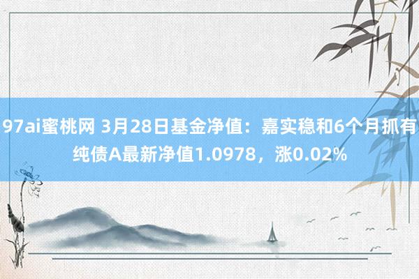 97ai蜜桃网 3月28日基金净值：嘉实稳和6个月抓有纯债A最新净值1.0978，涨0.02%