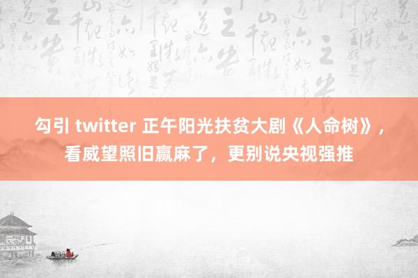 勾引 twitter 正午阳光扶贫大剧《人命树》，看威望照旧赢麻了，更别说央视强推