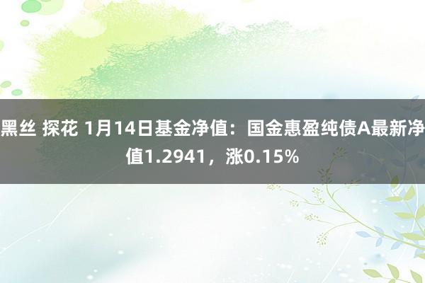 黑丝 探花 1月14日基金净值：国金惠盈纯债A最新净值1.2941，涨0.15%