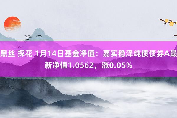 黑丝 探花 1月14日基金净值：嘉实稳泽纯债债券A最新净值1.0562，涨0.05%