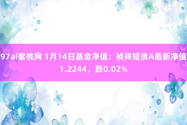 97ai蜜桃网 1月14日基金净值：祯祥短债A最新净值1.2244，跌0.02%