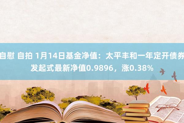 自慰 自拍 1月14日基金净值：太平丰和一年定开债券发起式最新净值0.9896，涨0.38%