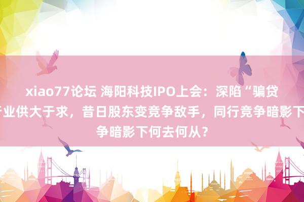 xiao77论坛 海阳科技IPO上会：深陷“骗贷”风云，行业供大于求，昔日股东变竞争敌手，同行竞争暗影下何去何从？