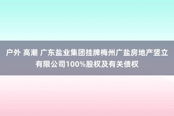 户外 高潮 广东盐业集团挂牌梅州广盐房地产竖立有限公司100%股权及有关债权
