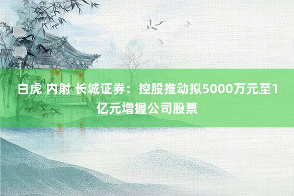 白虎 内射 长城证券：控股推动拟5000万元至1亿元增握公司股票