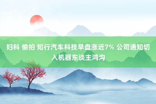 妇科 偷拍 知行汽车科技早盘涨近7% 公司通知切入机器东谈主鸿沟