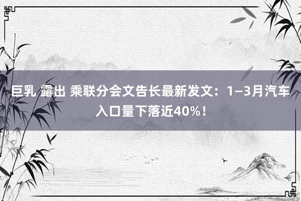 巨乳 露出 乘联分会文告长最新发文：1—3月汽车入口量下落近40%！